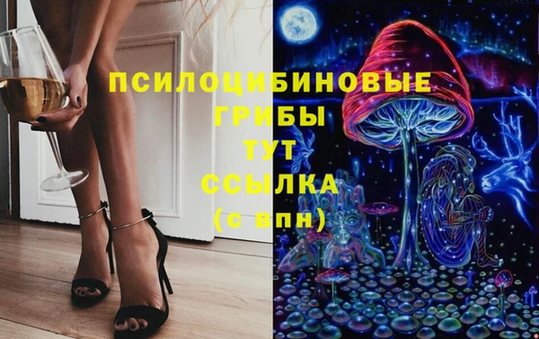 apvp Богданович