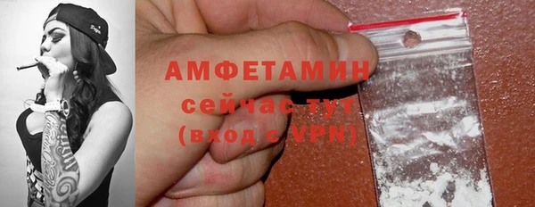 амф Бородино